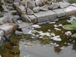 DSC04505.JPG