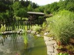 teich mai 2009 1 jahr 002.jpg