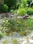 Teich4.jpg