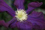 DSC00409.JPG