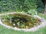 IMG_0216.jpg
