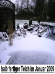 Winterteich 2009 a.jpg