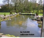 Teich am 13.04..jpg