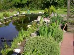teich am 10.05.jpg