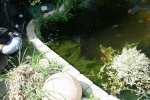 IMG_5630.JPG