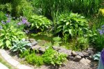 Teich002.jpg