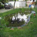 Mai Juni 2009 004.jpg