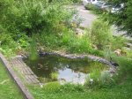 Teich Juni 07.jpg