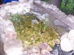 100_6094.jpg