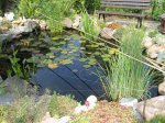 IMG_0172.JPG