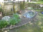 Teich Der Erste.jpg