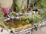 Teich der Dritte 2.jpg