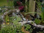 Teich der Dritte 8.jpg