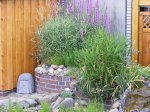 DSCF0553.jpg