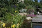 Teich%202[1].jpg