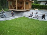Folie ins Loch2.jpg
