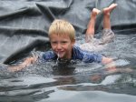 Wasserratte1.jpg