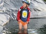 Wasserratte3.jpg