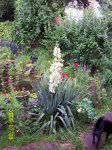 100_0390 (Medium).jpg