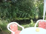 Gartenteich_07_09_4.jpg