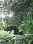 Gartenteich_07_09_5.jpg