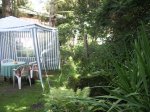 Gartenteich_07_09_6.jpg