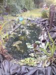 DSC03397.jpg