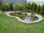Teich die Dritte 003-1.jpg