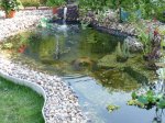 Teich 002 forum 2.jpg