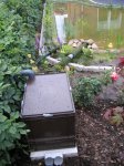 IMG_0036_6_3_1.jpg