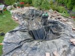 Teich die Vierte 012 forum.jpg