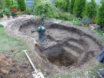 Teich die Vierte 056 forum.jpg