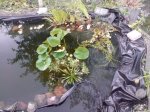 DSC03409.jpg
