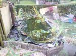 DSC03410.jpg