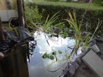 DSC03411.jpg