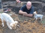 Teich die Vierte 058forum.jpg
