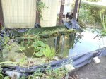 DSC03415.jpg