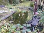 DSC03417.jpg