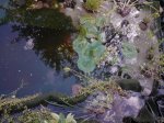 DSC03418.jpg