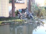 DSC03423.jpg