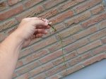 P2400229_Bildgröße ändern.JPG P2400229_Bildgröße ändern.JPG