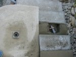 IMG_0007a.jpg