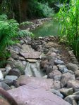 007 Bachlauf Flussrichtung.jpg