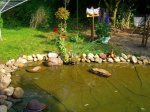 Teich #4.jpg