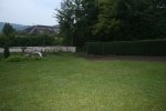 Neuer Teich.JPG