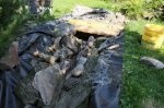 compIMG_3367.jpg