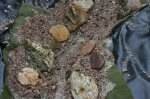 compIMG_3379.jpg