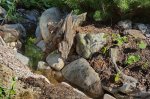 compIMG_3433.jpg