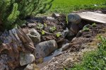 compIMG_3434.jpg