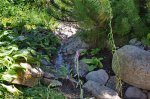 compIMG_3435.jpg